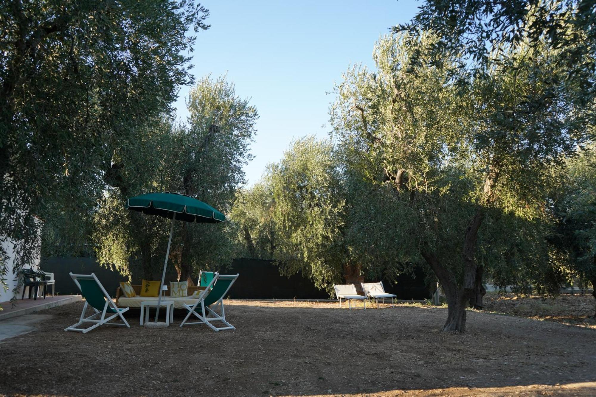Olive&Sea Villa-Olive Mattinata Eksteriør billede