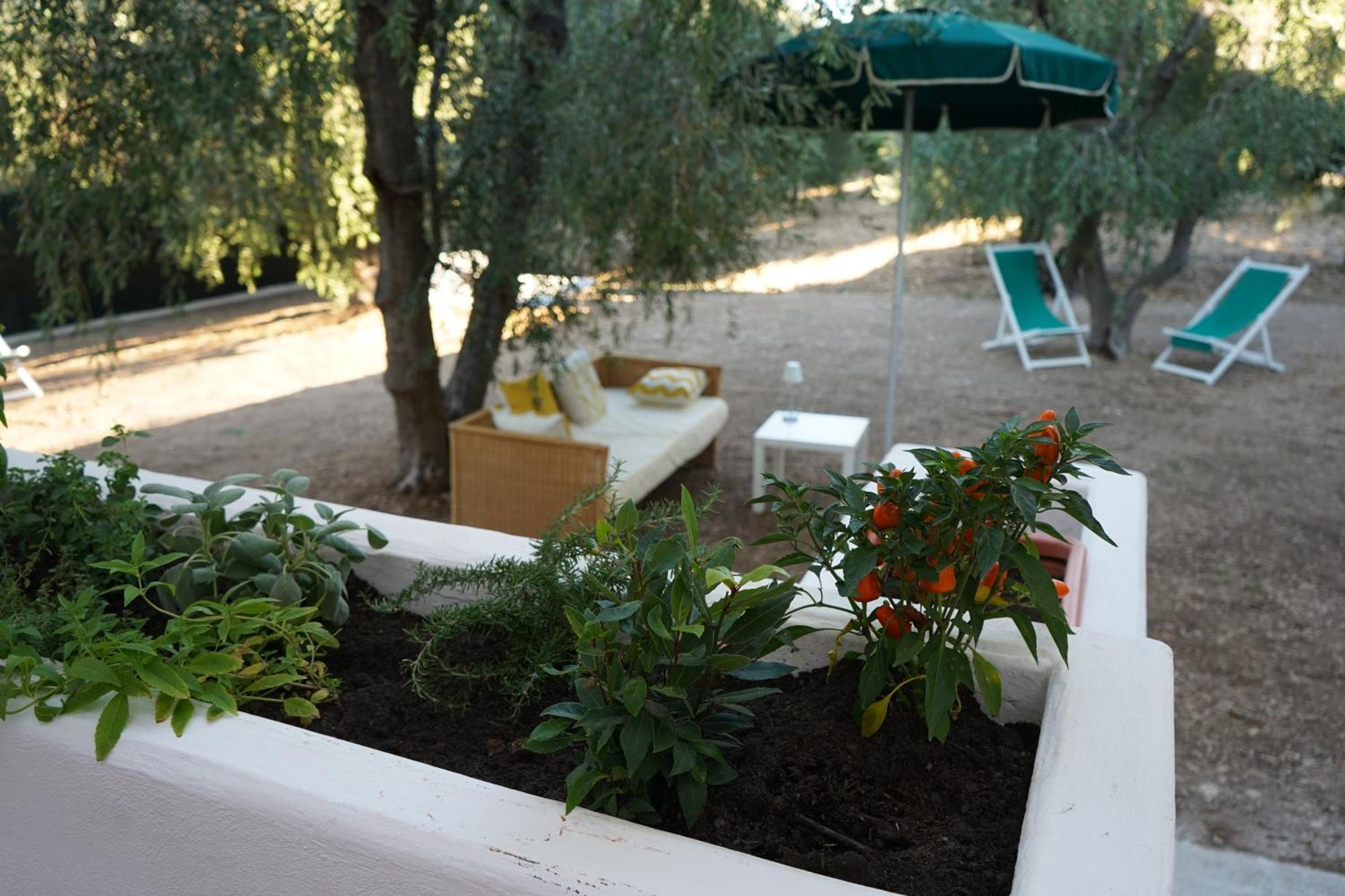 Olive&Sea Villa-Olive Mattinata Eksteriør billede