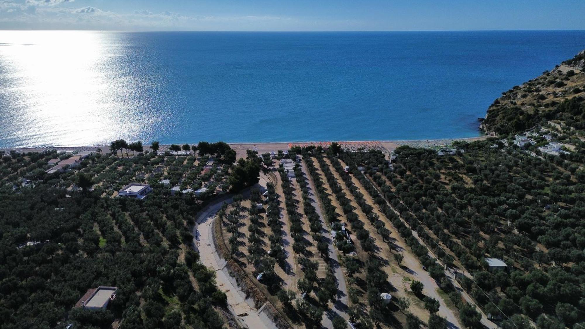 Olive&Sea Villa-Olive Mattinata Eksteriør billede