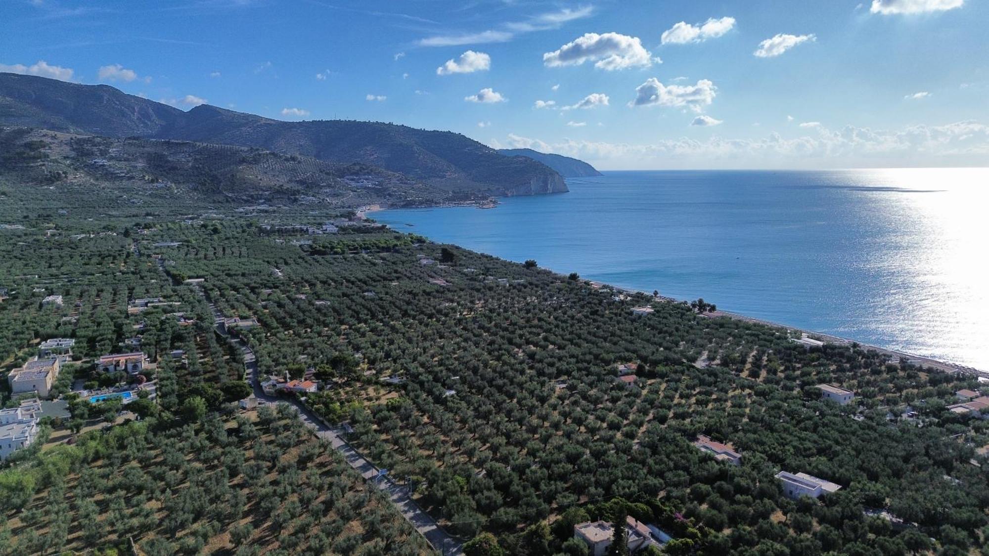 Olive&Sea Villa-Olive Mattinata Eksteriør billede